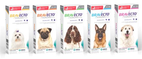 Bravecto For Dogs And Cats How Good Is It Really