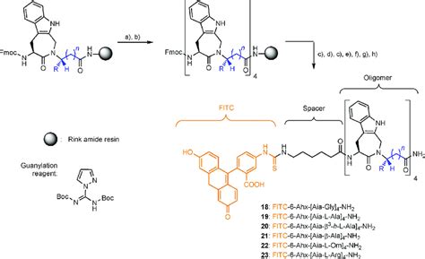 Scheme4 Solid Phasesynthetic Approach To FITC 6 Ahx L Aia Xxx 4 NH 2