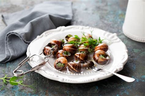how to cook snail