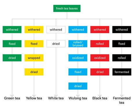 Tea Types and Production