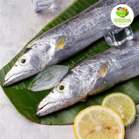 Jual Ikan Layur Segar Gram Sahabatdapur Shopee Indonesia