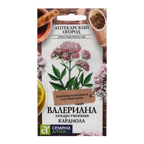 Валерианы цветы - 62 фото