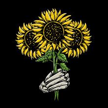 dead sunflower  stock photo public domain pictures