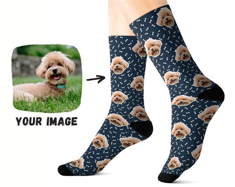 socks dog face 7