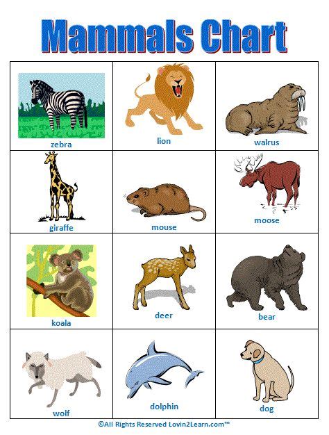 Mammals Chart www.loving2learn.com | Mammals activities, Mammals ...