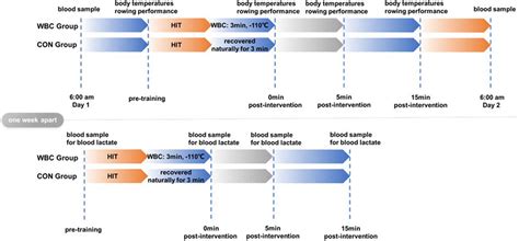 Frontiers Effect Of Whole Body Cryotherapy On Recovery After High