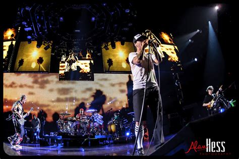 Red Hot Chili Peppers Concert Shoot ALAN HESS PHOTOGRAPHY