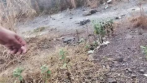 Er Ging Nach Hause Und Fing An Unterwegs Sex Zu Haben Xhamster