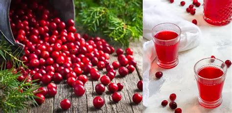 How To Make Cranberry Juice Taste Better Easy 09 Ways