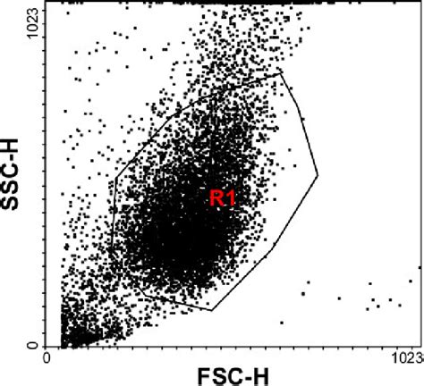 Ssc Versus Fsc Dot Plot The Integrity Of The Cell Population Is