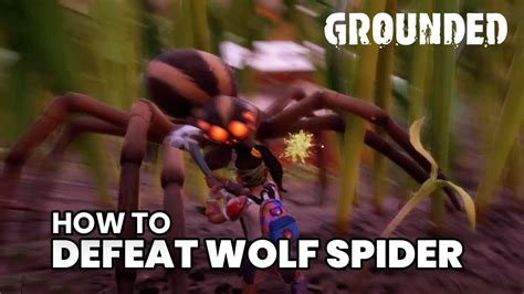 How To Kill A Wolf Spider Grounded