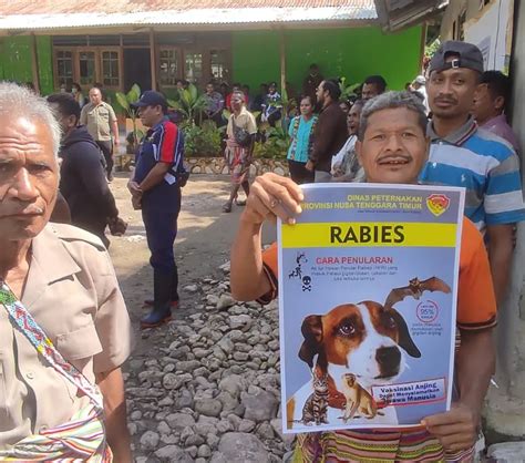 Kasus Kematian Akibat Rabies Meningkat Usai Lockdown Covid