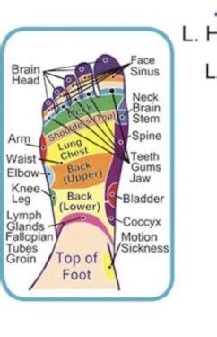 Reflexology Pressure Points Healing Reflexology Foot Reflexology