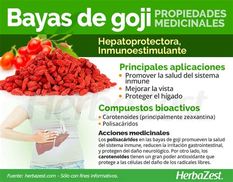 Bayas De Goji Herbazest