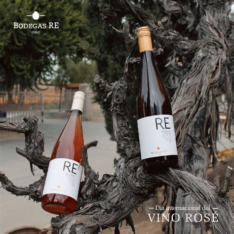 Día internacional vino rosé Bodegas RE BodegasRE