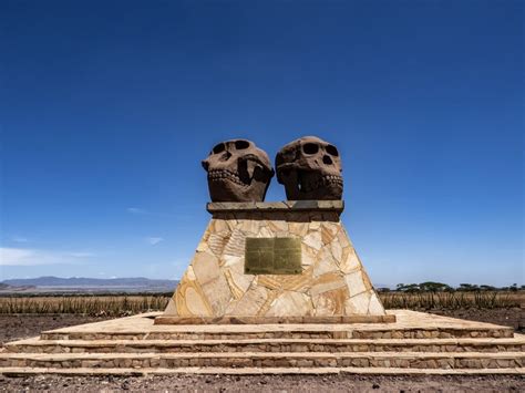 Activities - Olduvai Gorge Museum - Timon Safaris