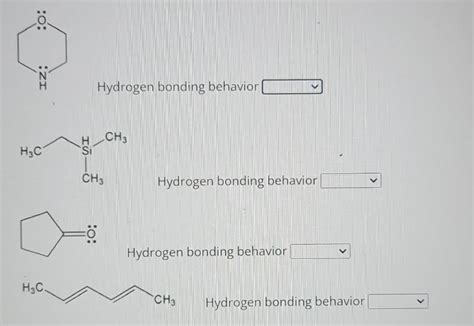 Solved Specify The Hydrogen Bonding Behavior Of Solutioninn