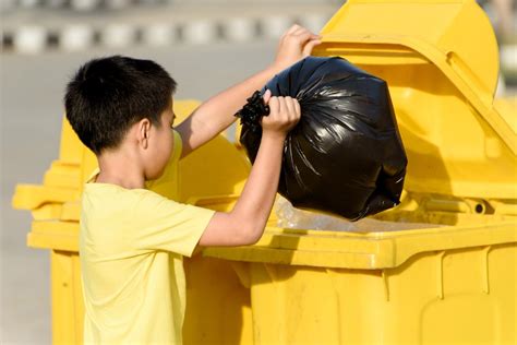 Seguimos Avanzando En El Reciclaje Jumarsol