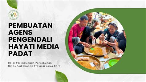 Pembuatan Agens Pengendali Hayati Pada Media Padat Youtube