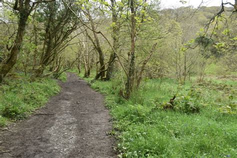 Riverside Path In Minster Wood © David Martin Cc By Sa20 Geograph