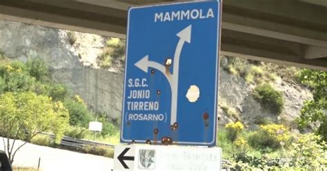 Operazione Della Dda Contro La Ndrangheta Di Mammola Dodici Arresti