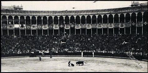 Spanish Bullfighting Arena With Matador At Madrid