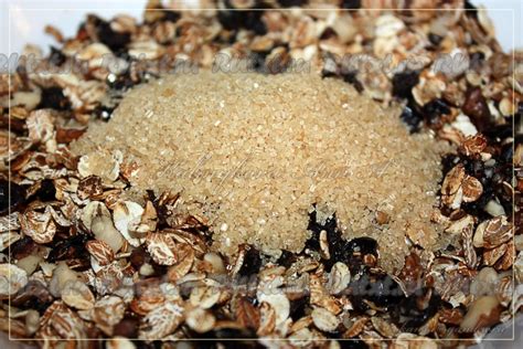 Овсяный десерт с орехами и черносливом: 6 фото в рецепте