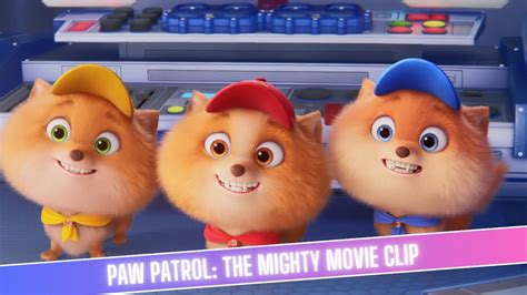 Paw Patrol The Mighty Movie Liberty Trains The Junior Patrollers