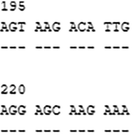 Alignment Of The Sequence Of Exon 2 Of DQA1 05 18 With The Sequence Of