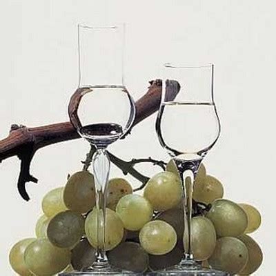 Бокалы :: Для крепких напитков :: Для граппы