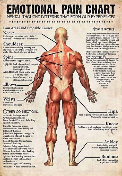 Body Diagram For Pain