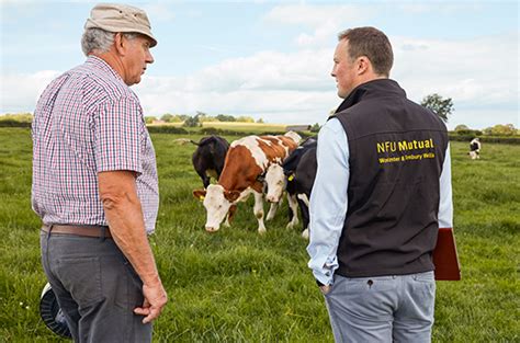 About NFU Mutual NFU Mutual Agency Careers