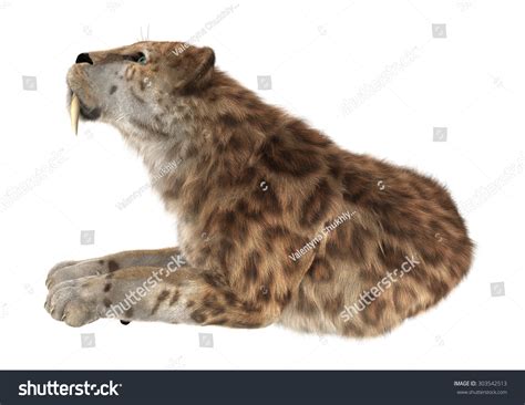 3d Digital Render Smilodon Saber Toothed Stock Illustration 303542513