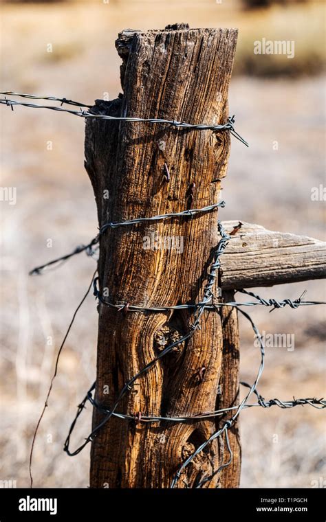 Close Up Of Barbed Wire Fence Weathered Wooden Fence Post Ranch In