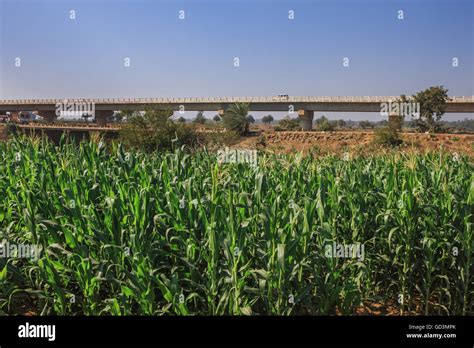 Chhattisgarh agriculture hi-res stock photography and images - Alamy