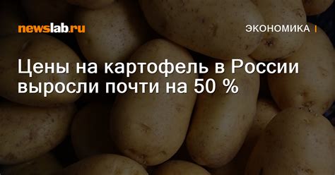 Цены на картофель в России выросли почти на 50 % / Новости экономики ...