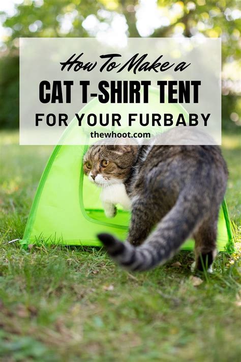 Diy Cat T Shirt Tent {video Tutorial} The Whoot Diy Cat Tent Cat