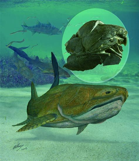 First Jawed Fish Had One Ugly Face | Discover Magazine