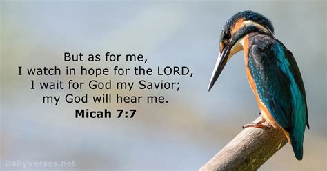 Micah 7:7 - Bible verse - DailyVerses.net