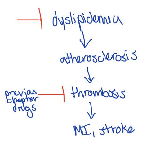 Cardio Chapter 4 Exam 2 Flashcards Quizlet