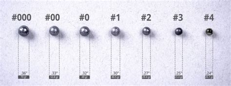 Various Types Of 12 Gauge Buckshot The Buck Stops Here By Jim Davis