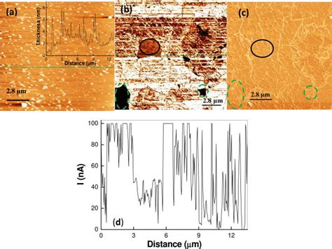 Color Online Current Mapping Afm Results For The Cvd Grown Graphene Download Scientific