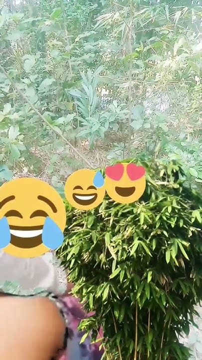 Pom Gana Fanny 🤩 Viral Short Video Youtube