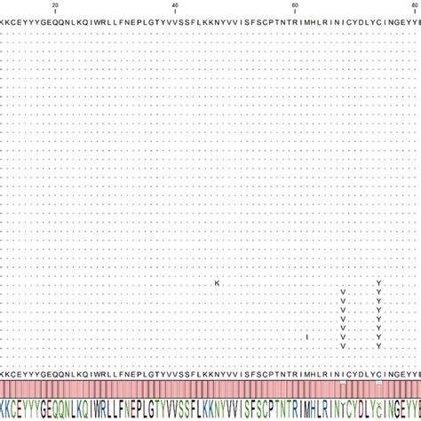 Multiple Sequence Alignment Using Clc Genomics Workbench Of I L Gene