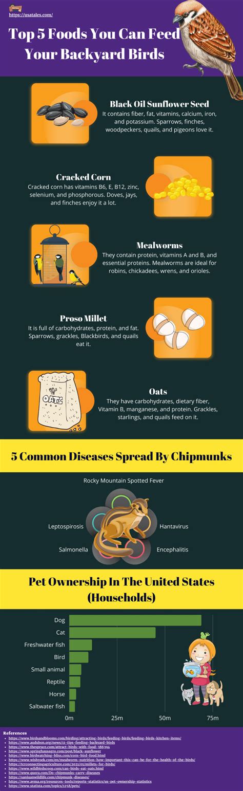 Discover Chipmunks FAVORITE Foods - The Ultimate Guide