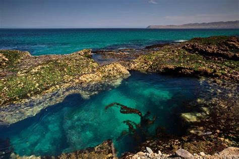 Things To Do Santa Rosa Island Channel Islands National Park Us