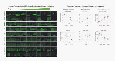 Spontaneous Calcium Oscillation Examples - Architecture, HD Png Download , Transparent Png Image ...