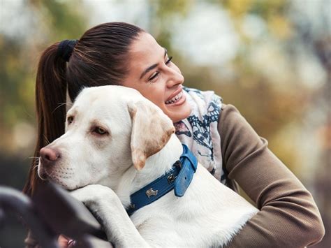 Les infos du Réveil Chérie Les chiens pleurent lorsquils retrouvent