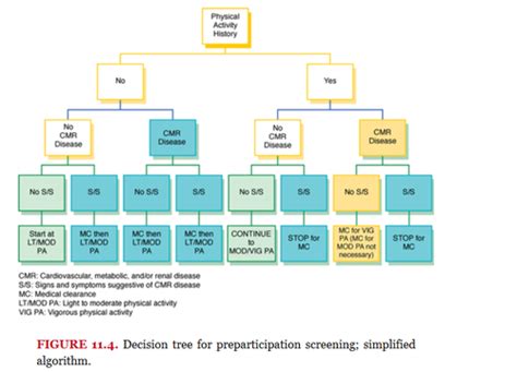 Acsm Cpt Chapter 11 Preparticipation Physical Activity Screening