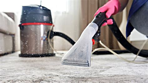 How Often Should You Steam Clean Your Carpet Storables